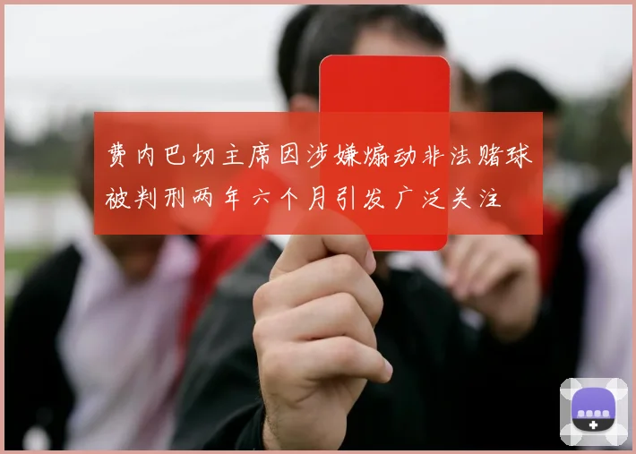 费内巴切主席因涉嫌煽动非法赌球被判刑两年六个月引发广泛关注